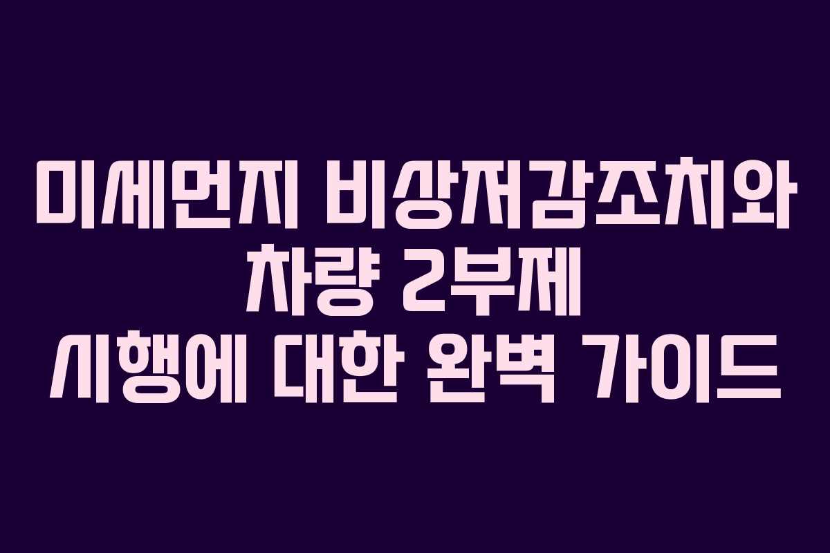미세먼지 비상저감조치와 차량 2부제 시행에 대한 완벽 가이드
