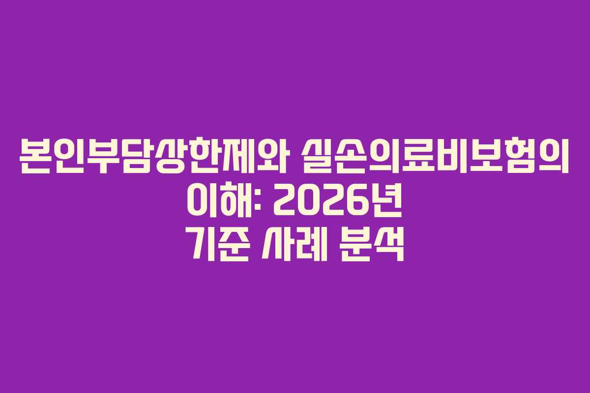 본인부담상한제와 실손의료비보험의 이해: 2026년 기준 사례 분석
