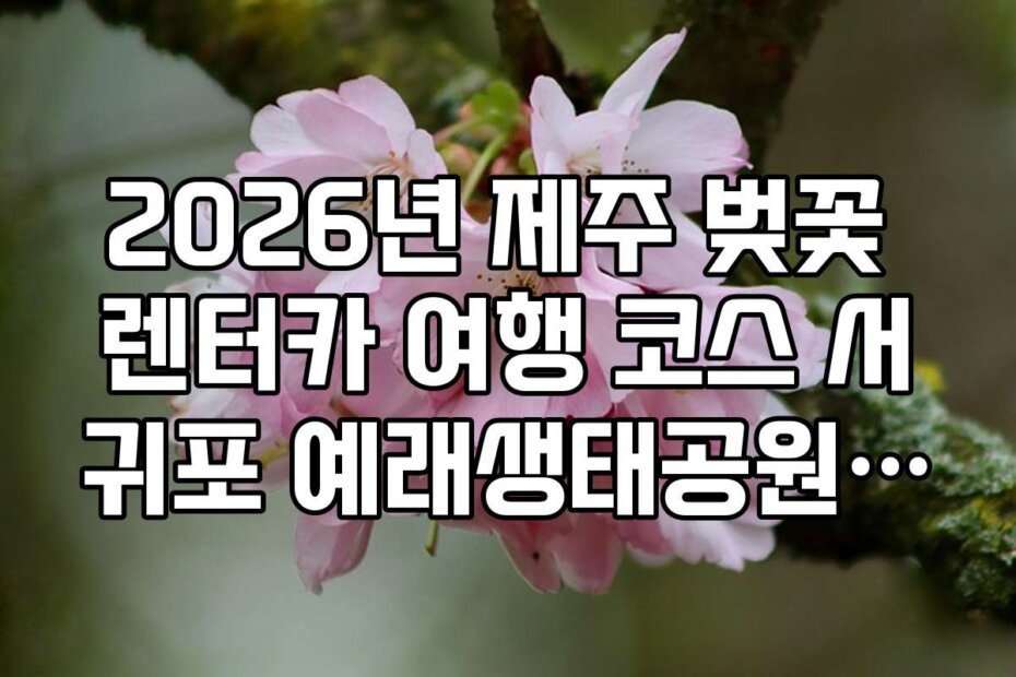 2026년 제주 벚꽃 렌터카 여행 코스 서귀포 예래생태공원 주차장 위치
