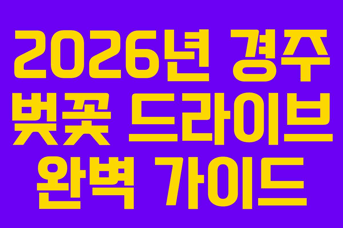 2026년 경주 벚꽃 드라이브 완벽 가이드