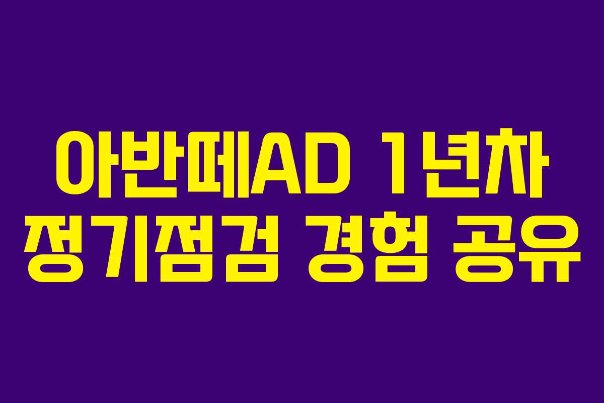 아반떼AD 1년차 정기점검 경험 공유