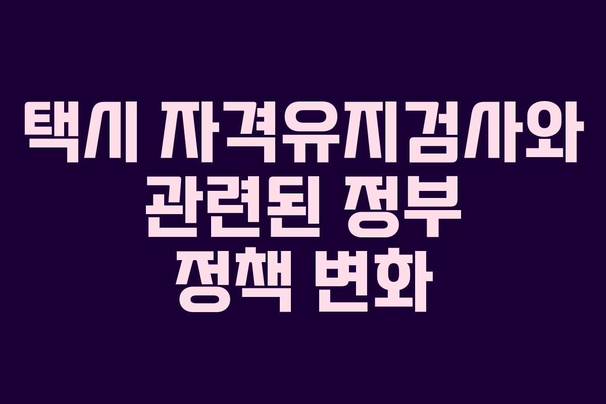 택시 자격유지검사와 관련된 정부 정책 변화
