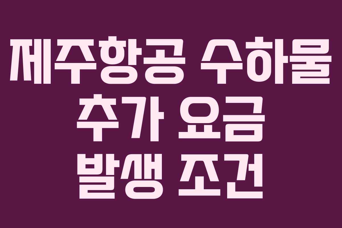 제주항공 수하물 추가 요금 발생 조건