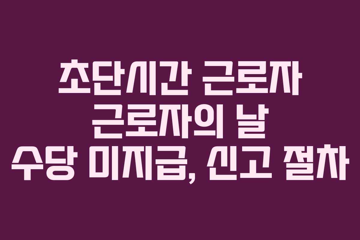 초단시간 근로자 근로자의 날 수당 미지급, 신고 절차