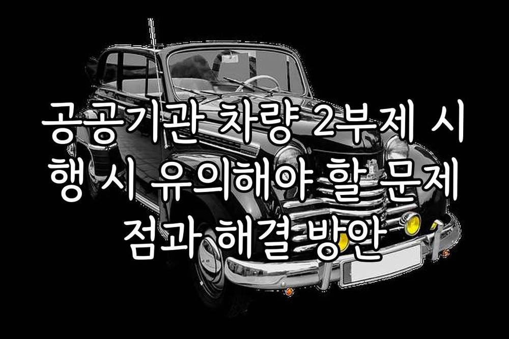 공공기관 차량 2부제 시행 시 유의해야 할 문제점과 해결 방안