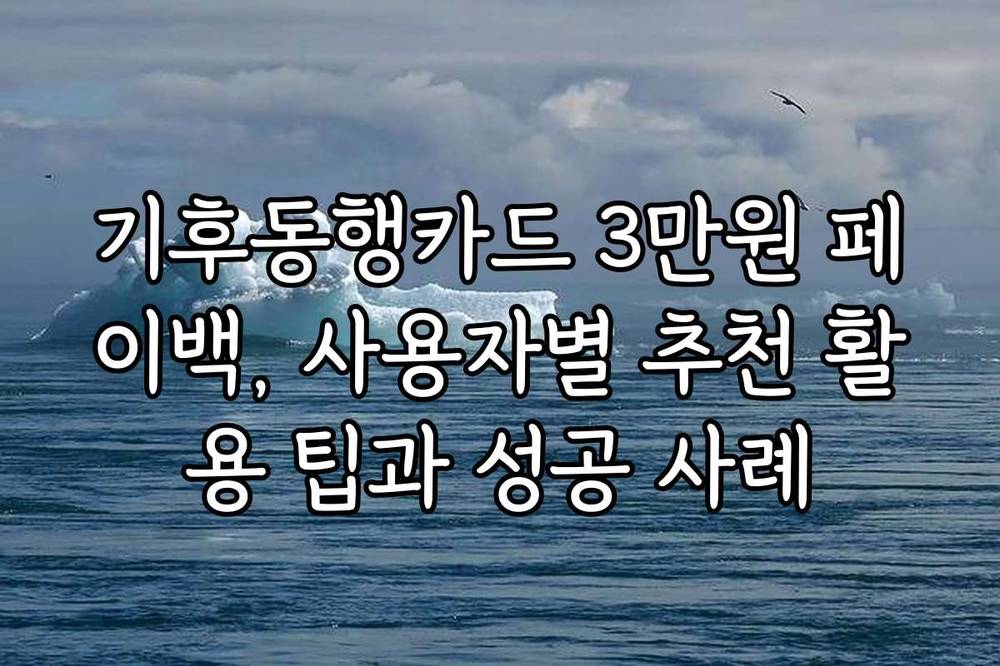 기후동행카드 3만원 페이백, 사용자별 추천 활용 팁과 성공 사례