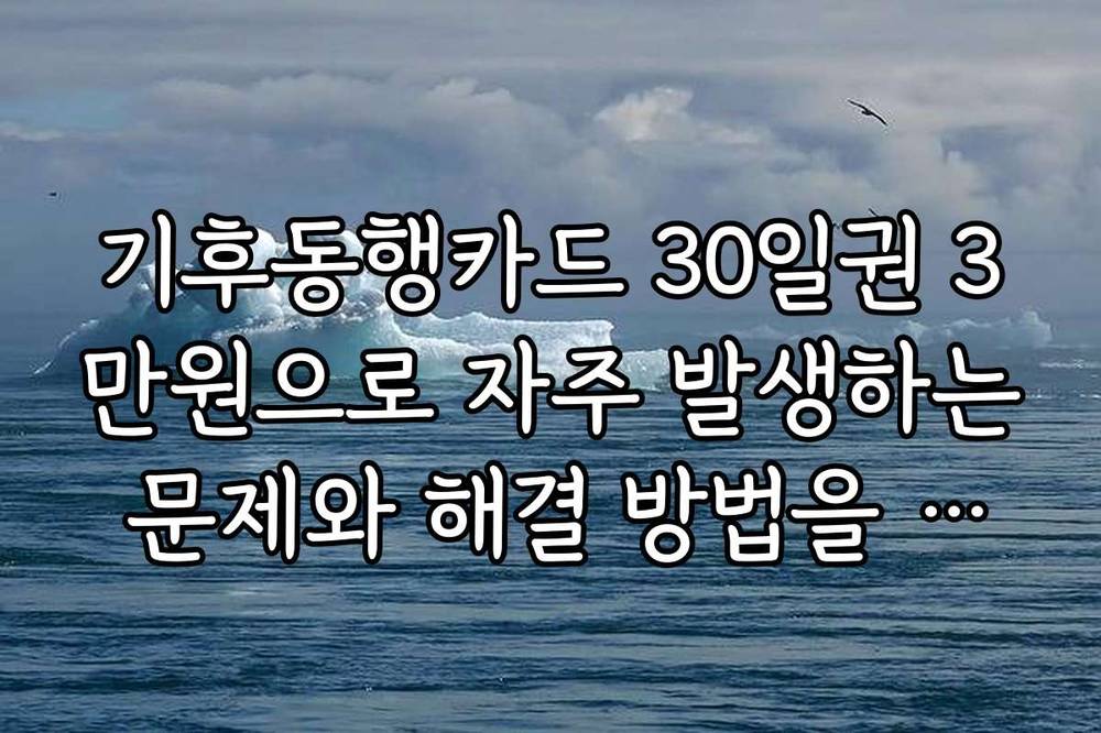 기후동행카드 30일권 3만원으로 자주 발생하는 문제와 해결 방법을 상세히 설명합니다