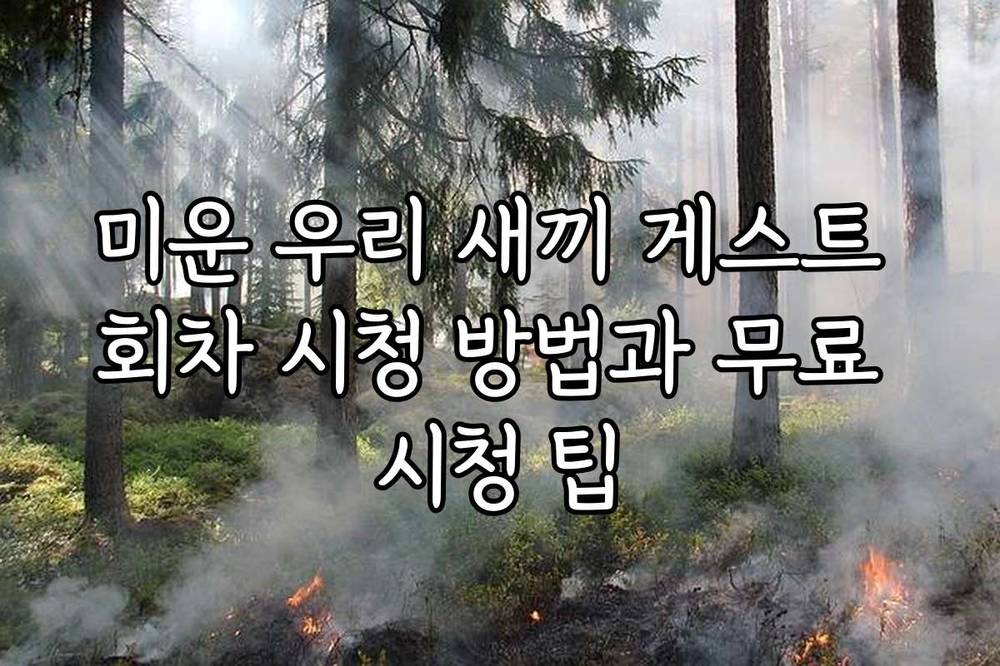 미운 우리 새끼 게스트 회차 시청 방법과 무료 시청 팁