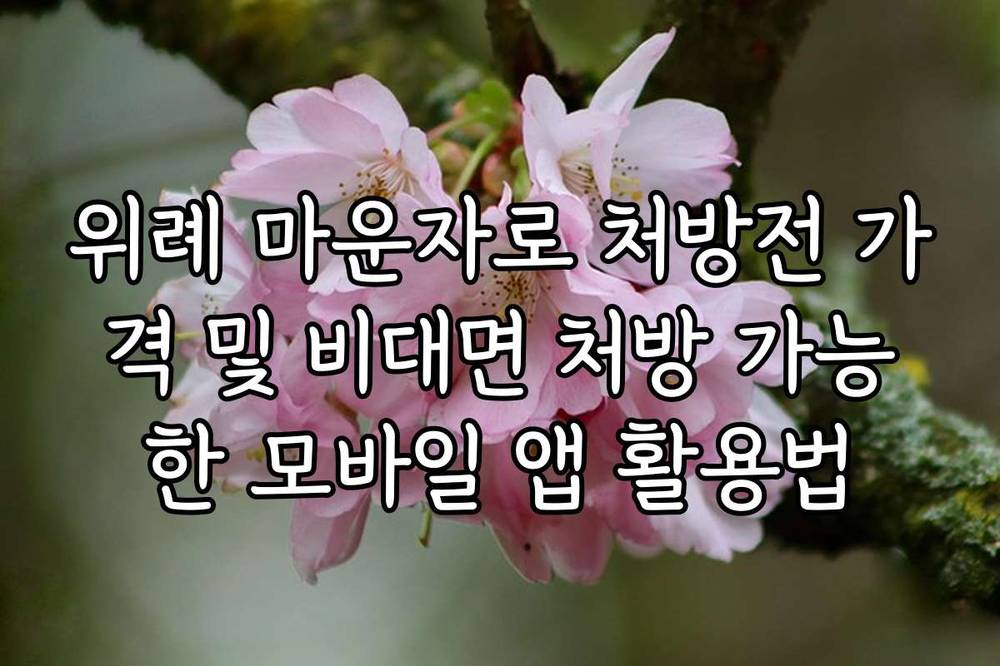 위례 마운자로 처방전 가격 및 비대면 처방 가능한 모바일 앱 활용법