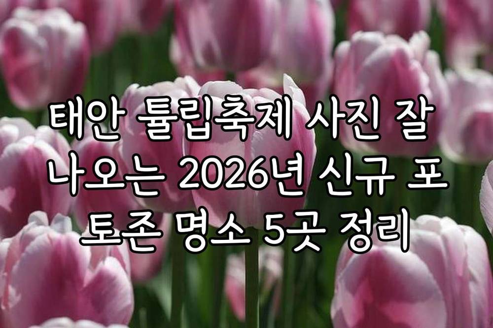태안 튤립축제 사진 잘 나오는 2026년 신규 포토존 명소 5곳 정리
