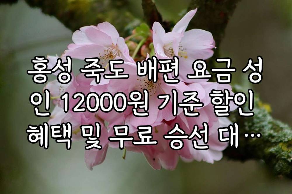 홍성 죽도 배편 요금 성인 12000원 기준 할인 혜택 및 무료 승선 대상자 정보