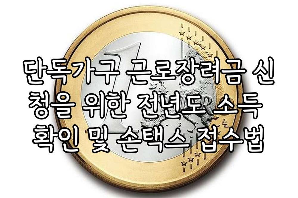 단독가구 근로장려금 신청을 위한 전년도 소득 확인 및 손택스 접수법
