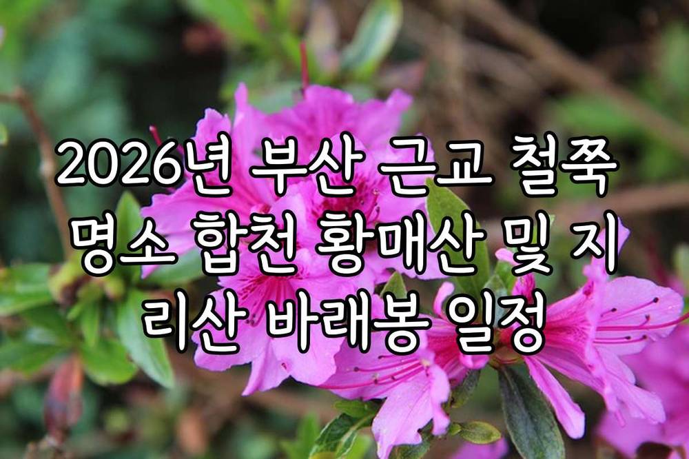 2026년 부산 근교 철쭉 명소 합천 황매산 및 지리산 바래봉 일정