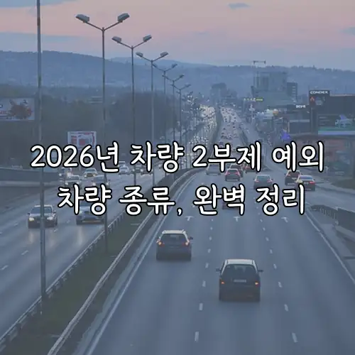 2026년 차량 2부제 예외 차량 종류, 완벽 정리