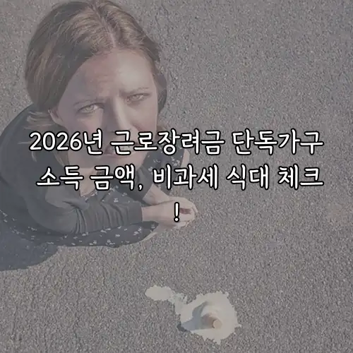 2026년 근로장려금 단독가구 소득 금액, 비과세 식대 체크!