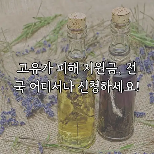 고유가 피해 지원금, 전국 어디서나 신청하세요!