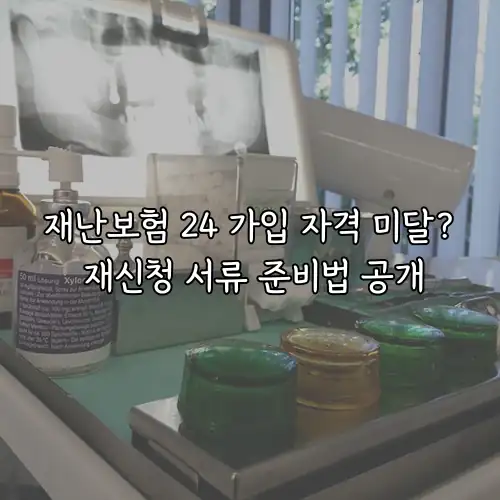 재난보험 24 가입 자격 미달? 재신청 서류 준비법 공개