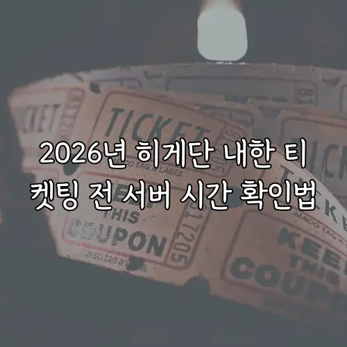 2026년 히게단 내한 티켓팅 전 서버 시간 확인법