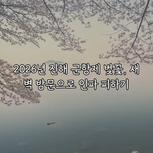 2026년 진해 군항제 벚꽃, 새벽 방문으로 인파 피하기