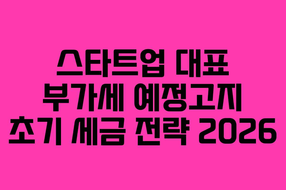 스타트업 대표 부가세 예정고지 초기 세금 전략 2026