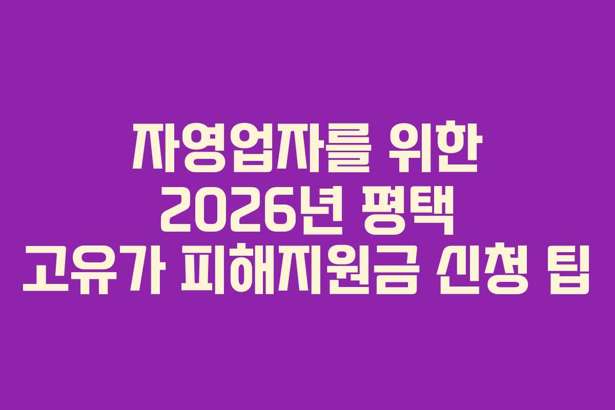 자영업자를 위한 2026년 평택 고유가 피해지원금 신청 팁