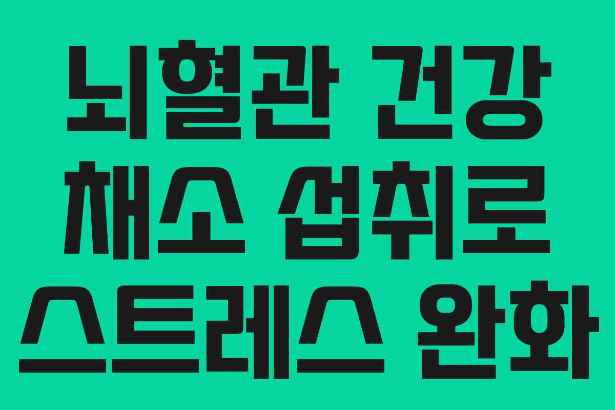 뇌혈관 건강 채소 섭취로 스트레스 완화