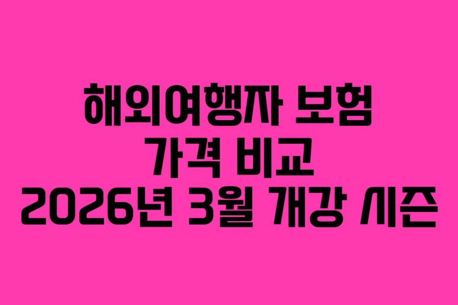 해외여행자 보험 가격 비교 2026년 3월 개강 시즌