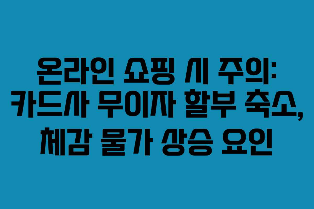 온라인 쇼핑 시 주의: 카드사 무이자 할부 축소, 체감 물가 상승 요인