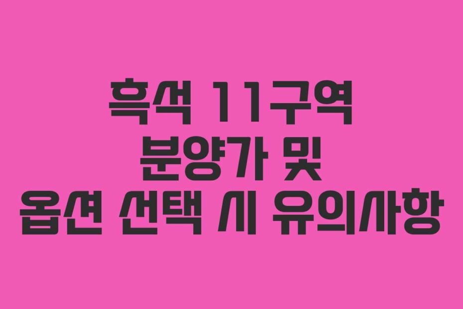흑석 11구역 분양가 및 옵션 선택 시 유의사항