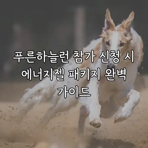 푸른하늘런 참가 신청 시 에너지젤 패키지 완벽 가이드