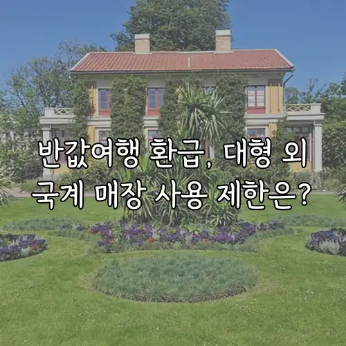 반값여행 환급, 대형 외국계 매장 사용 제한은?