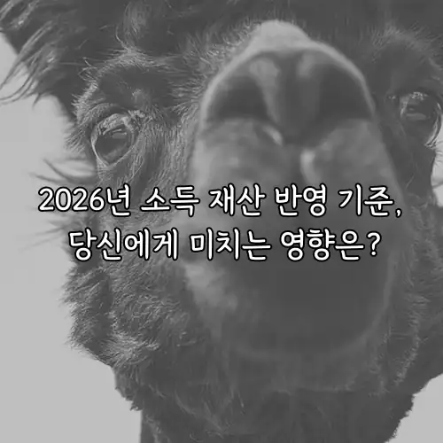 2026년 소득 재산 반영 기준, 당신에게 미치는 영향은?