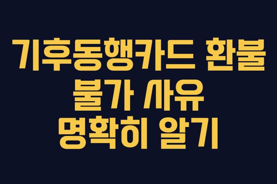 기후동행카드 환불 불가 사유 명확히 알기