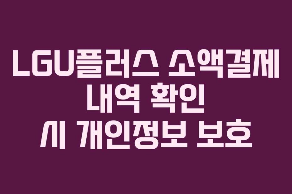 LGU플러스 소액결제 내역 확인 시 개인정보 보호