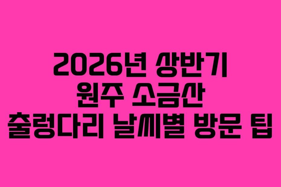 2026년 상반기 원주 소금산 출렁다리 날씨별 방문 팁