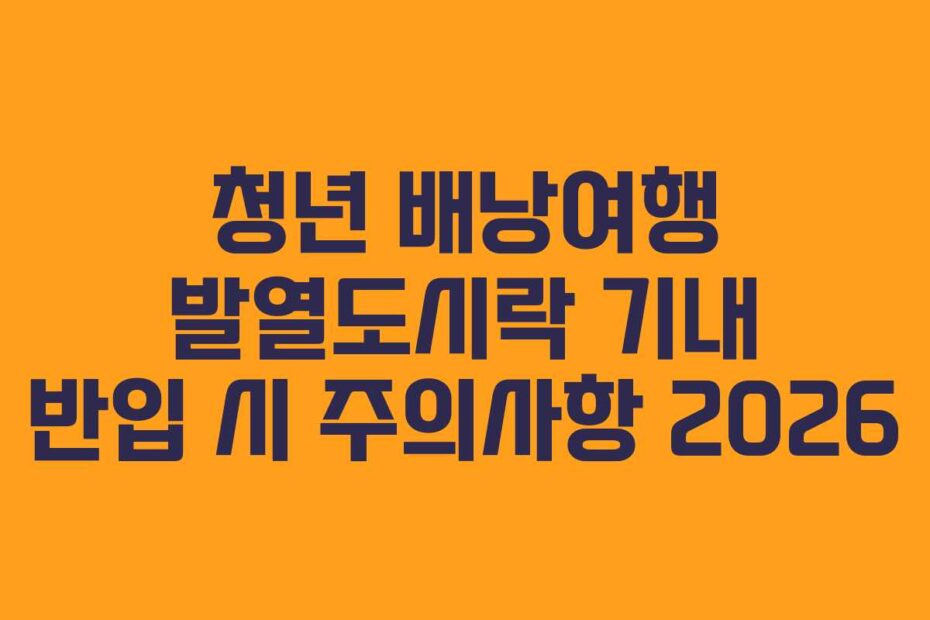 청년 배낭여행 발열도시락 기내 반입 시 주의사항 2026
